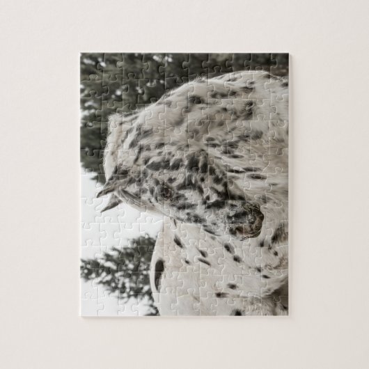 Mooie zwarte en witte Appaloosa-paarden Legpuzzel (Verticaal)