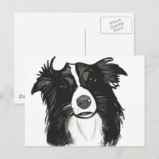 Mooie zwarte en witte grenspoel briefkaart (Voorkant / Achterkant)