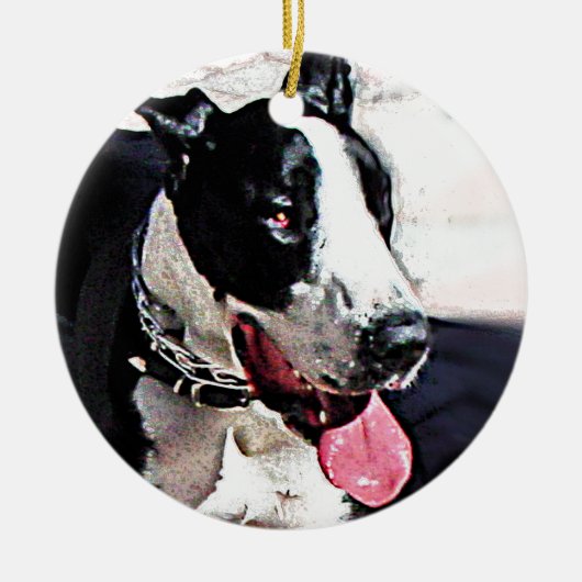 Mooie zwarte en witte hond keramisch ornament (Voorkant)