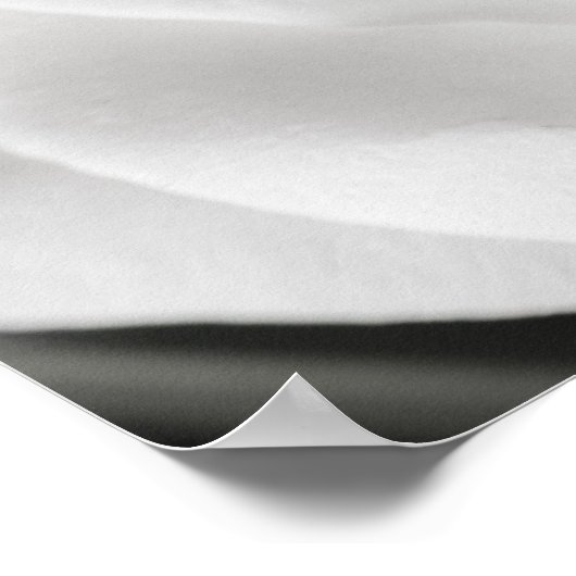 Mooie zwarte en witte rozen poster (Hoek)