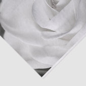 Mooie zwarte en witte rozen tissuepapier (Detail)