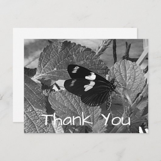 Mooie zwarte en witte vlinder Hartelijk dank Briefkaart (Voorkant / Achterkant)