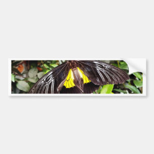 mooie zwarte gele vlinder foto bumpersticker