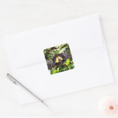 mooie zwarte gele vlinder foto vierkante sticker (Envelop)