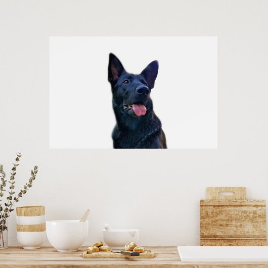Mooie zwarte herder poster (Keuken)