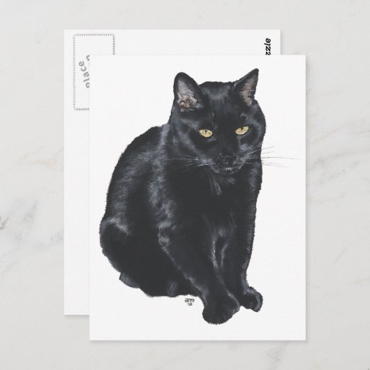 Mooie zwarte kat briefkaart (Voorkant / Achterkant)