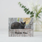Mooie Zwarte Kat Log Foto Bedankt Briefkaart (Staand voorkant)