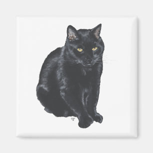 Mooie zwarte kat magneet