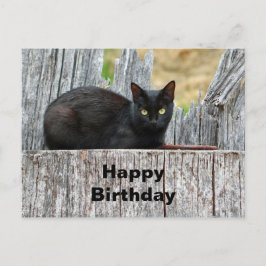 Mooie Zwarte Kat op Houtblok Foto Verjaardag Briefkaart