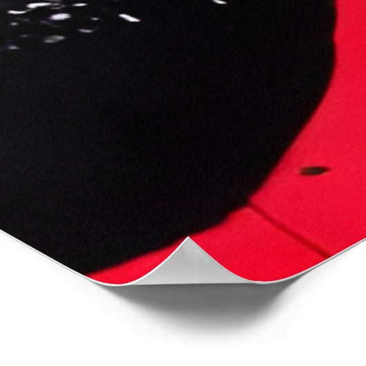 Mooie zwarte kat poster (Hoek)