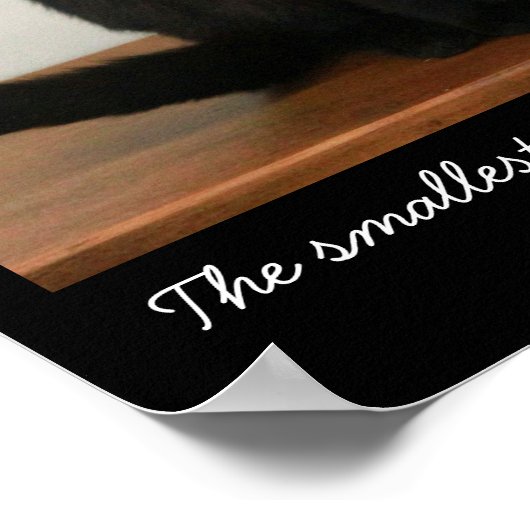 Mooie zwarte kat poster (Hoek)