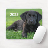 Mooie zwarte labrador 2025 hondenkalender muismat (Met muis)