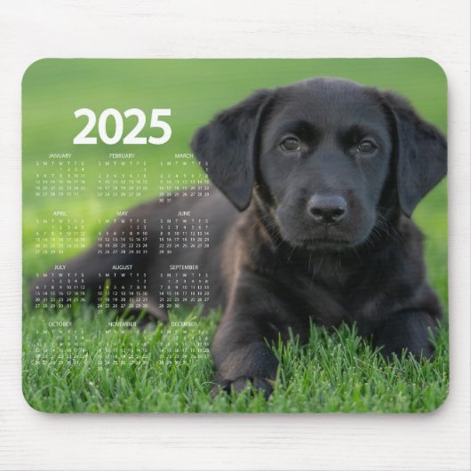 Mooie zwarte labrador 2025 hondenkalender muismat (Voorkant)