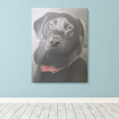 "Mooie zwarte labrador" houtskooltekening Canvas Afdruk (Insitu (Houten vloer))