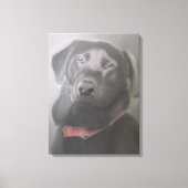 "Mooie zwarte labrador" houtskooltekening Canvas Afdruk (Voorkant)
