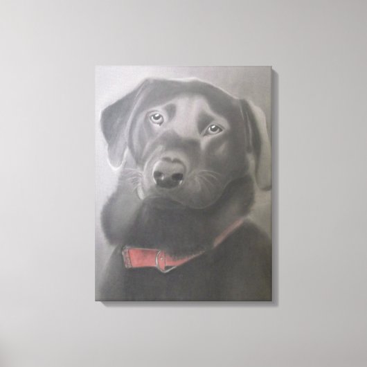 "Mooie zwarte labrador" houtskooltekening Canvas Afdruk (Voorkant)