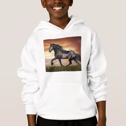 Mooie zwarte paard (Voorkant)