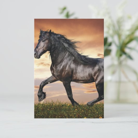 Mooie zwarte paard bedankkaart (Staand voorkant)