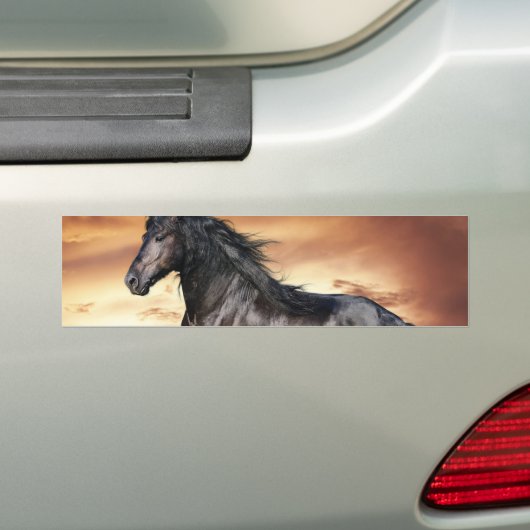 Mooie zwarte paard bumpersticker (Op auto)