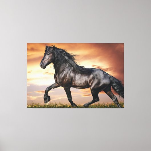 Mooie zwarte paard canvas afdruk (Voorkant)