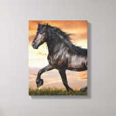 Mooie zwarte paard canvas afdruk (Voorkant)