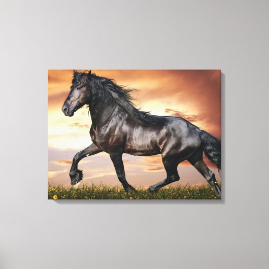 Mooie zwarte paard canvas afdruk (Voorkant)