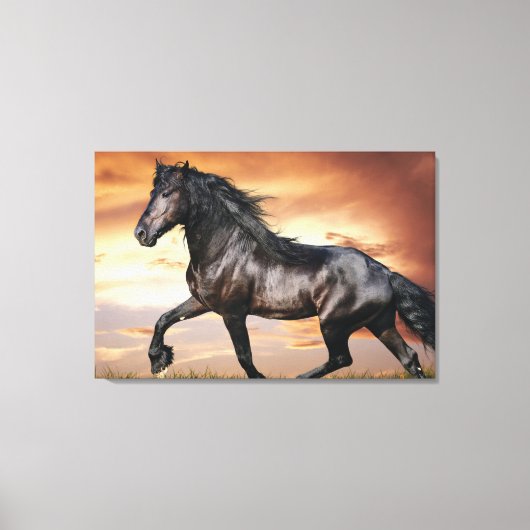 Mooie zwarte paard canvas afdruk (Voorkant)