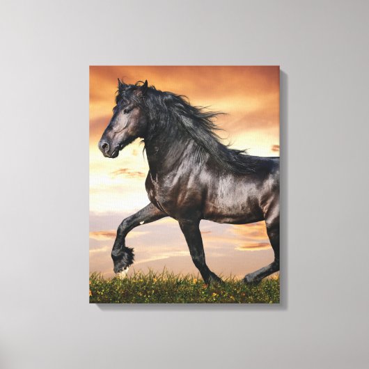 Mooie zwarte paard canvas afdruk (Voorkant)