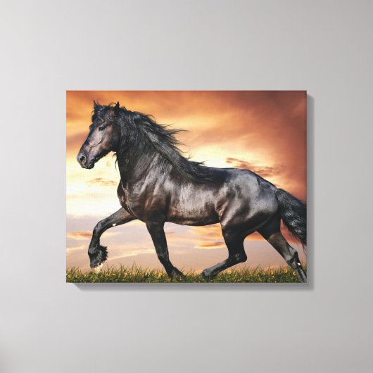 Mooie zwarte paard canvas afdruk (Voorkant)