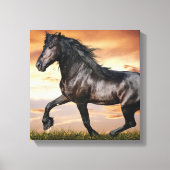 Mooie zwarte paard canvas afdruk (Voorkant)