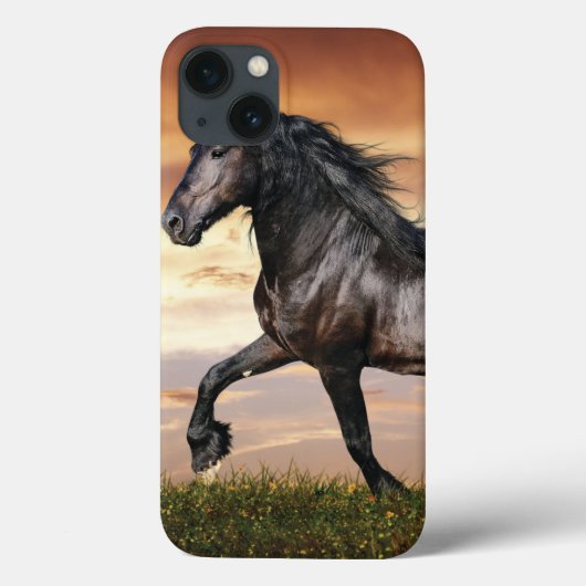 Mooie zwarte paard Case-Mate iPhone case (Achterkant)