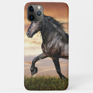 Mooie zwarte paard Case-Mate iPhone case