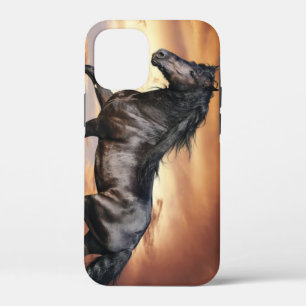 Mooie zwarte paard Case-Mate iPhone case