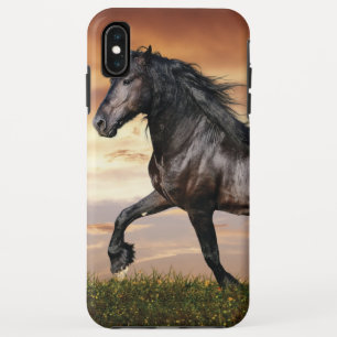 Mooie zwarte paard Case-Mate iPhone case