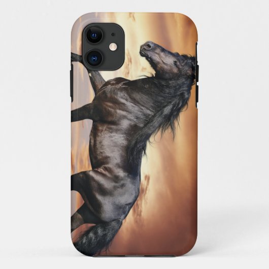Mooie Zwarte Paard Case-Mate iPhone Case (Achterkant)