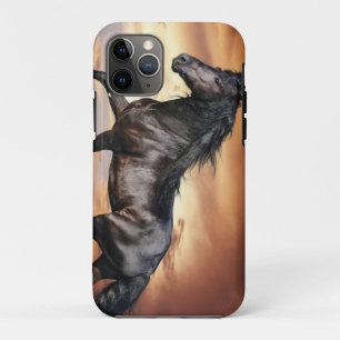 Mooie zwarte paard Case-Mate iPhone case
