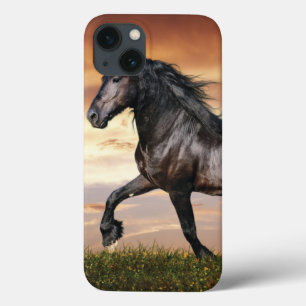 Mooie zwarte paard Case-Mate iPhone case