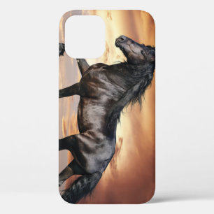 Mooie zwarte paard Case-Mate iPhone case