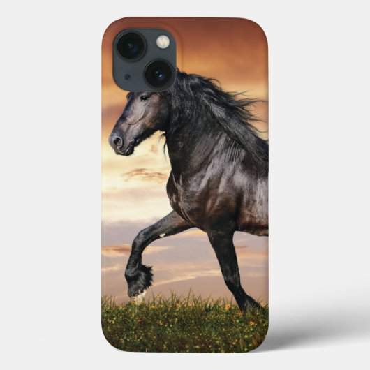 Mooie zwarte paard Case-Mate iPhone case (Achterkant)