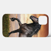 Mooie zwarte paard Case-Mate iPhone case (Achterkant (horizontaal))