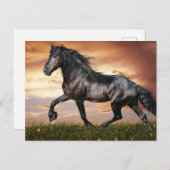 Mooie zwarte paard feestdagenkaart (Voorkant / Achterkant)