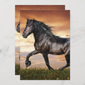 Mooie zwarte paard feestdagenkaart (Voorkant / Achterkant)