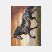 Mooie zwarte paard fleece deken (Voorkant)