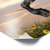 Mooie zwarte paard foto afdruk (Hoek)