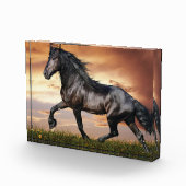 Mooie zwarte paard fotoblokken (Rechts)