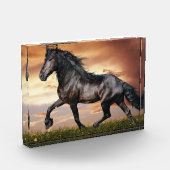 Mooie zwarte paard fotoblokken (Links)