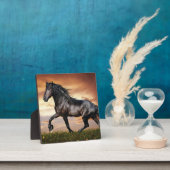 Mooie zwarte paard fotoplaat (Insitu)