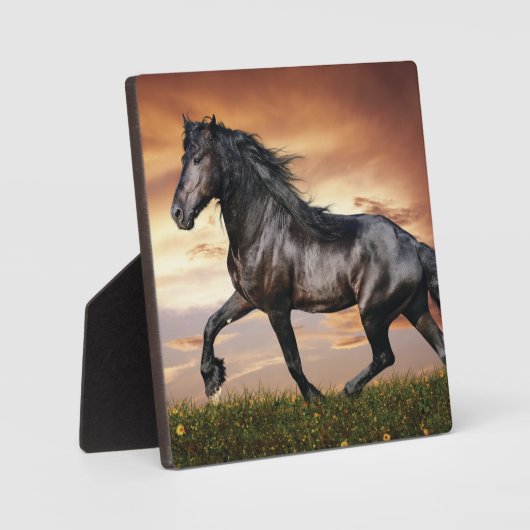 Mooie zwarte paard fotoplaat (Voorkant)