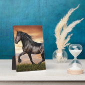 Mooie zwarte paard fotoplaat (Zijkant)