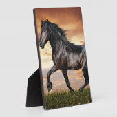 Mooie zwarte paard fotoplaat (Zijkant)